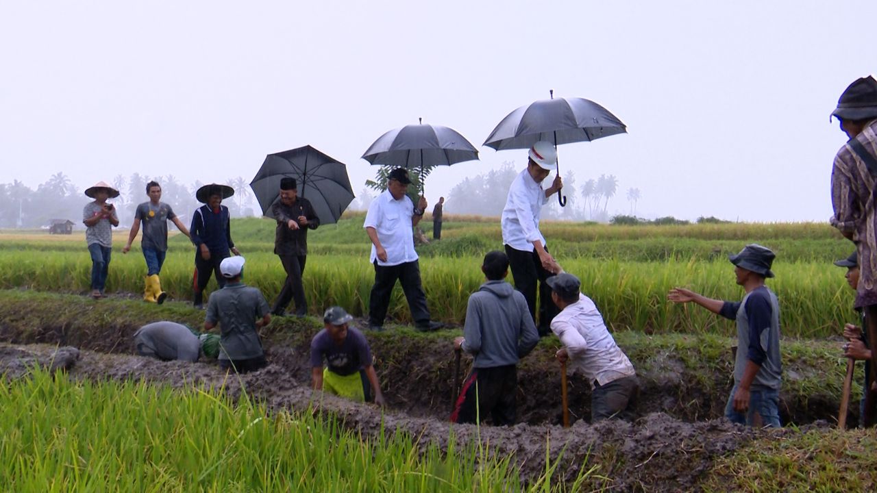 Presiden Tinjau Pelaksanaan Proyek Padat Karya Tunai Tanah Datar